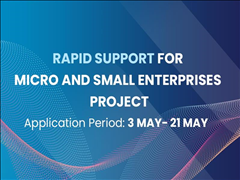 RAPID SUPPORT FOR MICRO and SMALL ENTERPRISES PROJECT